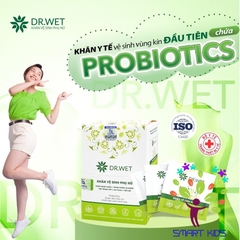 Khăn Vệ Sinh Phụ Nữ DR.Wet Sản Phẩm Mới Dr Papie