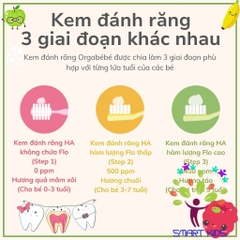 Kem Đánh Răng Thuần Chay 3 Giai Đoạn Orgabebe an toàn cho bé