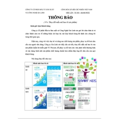 Set 5 Quần lót Cotton miễn giặt Procare (cho mẹ bầu đi sinh)