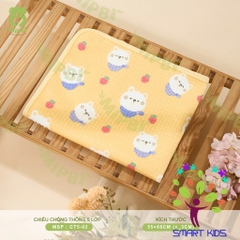 Chiếu Chống Thấm 5 Lớp Mipbi 55x68cm
