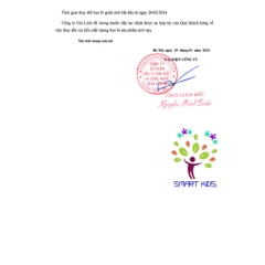 Set 5 Quần lót Cotton miễn giặt Procare (cho mẹ bầu đi sinh)