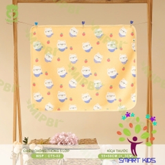 Chiếu Chống Thấm 5 Lớp Mipbi 55x68cm