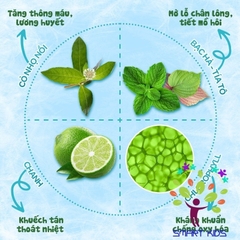 Túi 5 Khăn Ướt Thảo Dược Dr.Papie dành cho bé