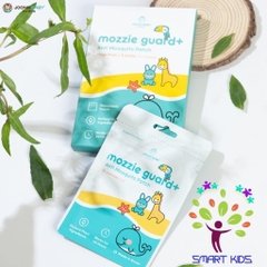 Hộp Quà Săn Rồng Joonababy