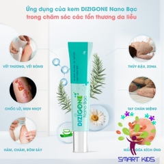 Kem Bôi Da Dizigone Nano Bạc - Kháng Khuẩn, Lành Vết Thương, Tái Tạo Da, Ngăn Ngừa Sẹo 25g