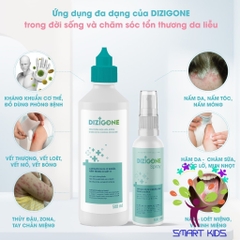 Dung Dịch Kháng Khuẩn Dizigone 500ml