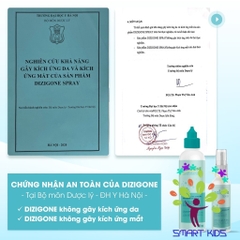 Dung Dịch Kháng Khuẩn Dizigone 300ml