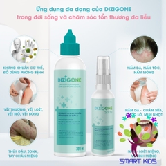 Dung Dịch Kháng Khuẩn Dizigone 300ml