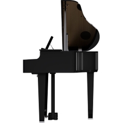 Đàn Baby Grand Piano Roland GP-6