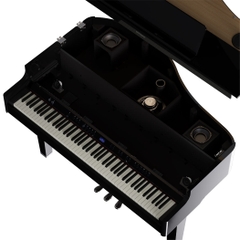Đàn Baby Grand Piano Roland GP-6
