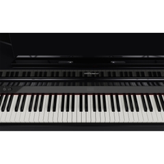 Đàn Baby Grand Piano Roland GP-6