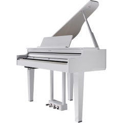 Đàn Baby Grand Piano Roland GP-6