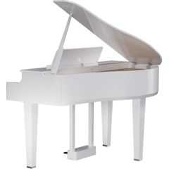 Đàn Baby Grand Piano Roland GP-6