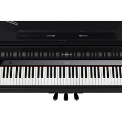 Đàn Grand Piano Roland GP-9
