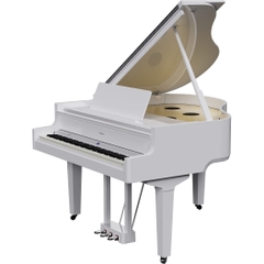 Đàn Grand Piano Roland GP-9