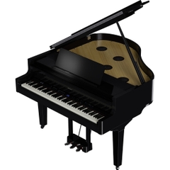 Đàn Grand Piano Roland GP-9