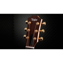 Đàn Guitar Acoustic Taylor 50th Anniversary GS Mini-e Rosewood SB LTD
