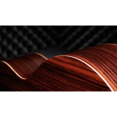 Đàn Guitar Acoustic Taylor 50th Anniversary GS Mini-e Rosewood SB LTD