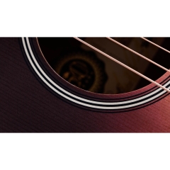 Đàn Guitar Acoustic Taylor 50th Anniversary GS Mini-e Rosewood SB LTD