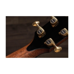 Đàn Guitar Acoustic Taylor PS14ce Honduran Rosewood