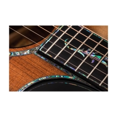 Đàn Guitar Acoustic Taylor PS14ce Honduran Rosewood
