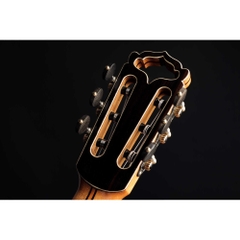 Đàn Guitar Classic Hanika Fusion PC