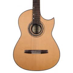 Đàn Guitar Classic Hanika Fusion PC