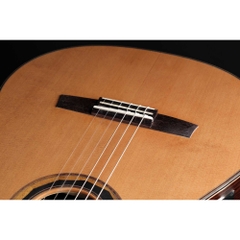 Đàn Guitar Classic Hanika Fusion PC