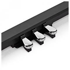 Đàn Piano Điện Casio Privia PX-770