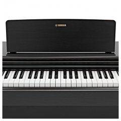 Đàn Piano Điện Yamaha YDP-145