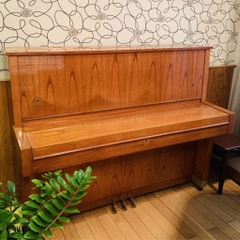 Đàn Piano Upright Yamaha W104