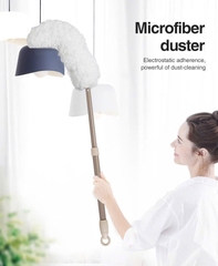 Cây lau bụi phất trần Oday L1
