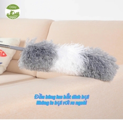 Cây lau bụi phất trần Oday L7 (L7P)