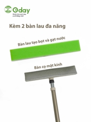 Cây lau kính Oday C3