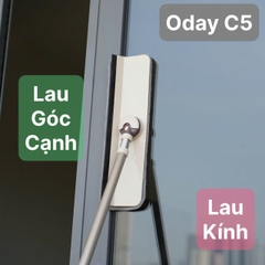 Cây lau kính Oday C5