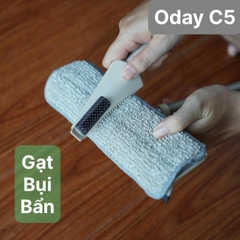 Cây lau kính Oday C5
