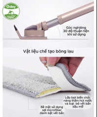 Cây lau kính Oday C5