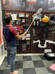 Cây lau bụi phất trần Oday L1p