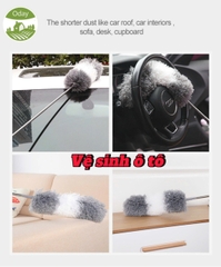 Cây lau bụi phất trần Oday L7 (L7P)
