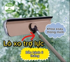 Cây lau kính Oday C5