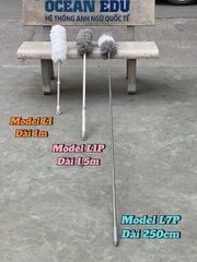 Cây lau bụi phất trần Oday L1p
