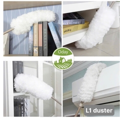 Cây lau bụi phất trần Oday L1