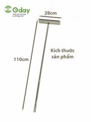 Cây lau kính Oday C3