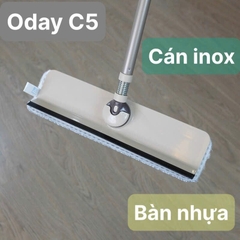 Cây lau kính Oday C5
