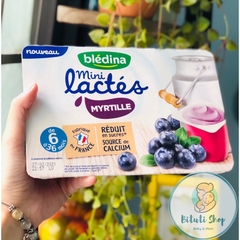 Sữa chua Bledina mini lactes