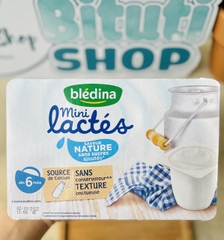 Sữa chua Bledina mini lactes