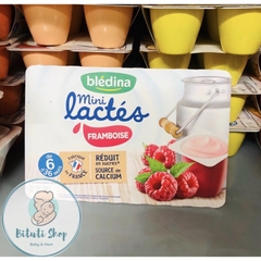 Sữa chua Bledina mini lactes