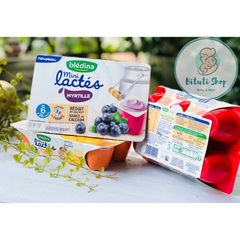 Sữa chua Bledina mini lactes