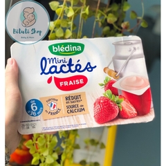 Sữa chua Bledina mini lactes
