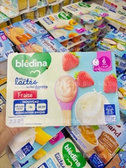 Sữa chua Bledina mini lactes